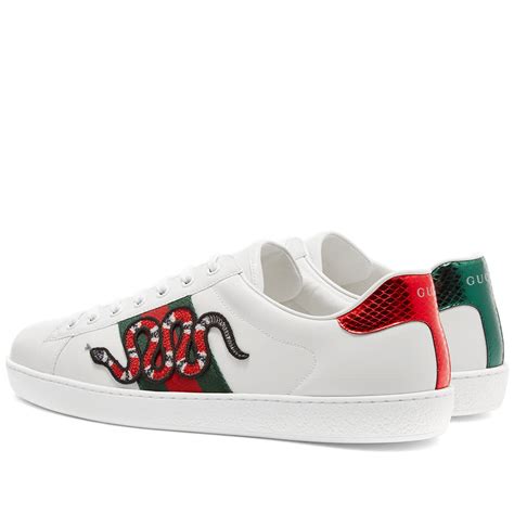 gucci ace sneakers and trackpants|gucci snake sneakers women's.